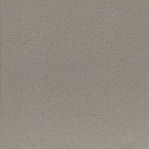 EARTH GRIGIO3 30x60 - CASALGRANDE PADANA 1790120 CASALGRANDE PADANA - 1