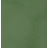 R-EVOLUTION GREEN 9MM 30x60 - CASALGRANDE PADANA 11790034 CASALGRANDE PADANA - 1