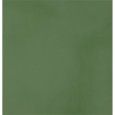R-EVOLUTION GREEN 9MM 30x60 - CASALGRANDE PADANA 11790034 CASALGRANDE PADANA - 1
