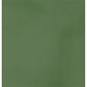 R-EVOLUTION GREEN 9MM 60x60 9MM - CASALGRANDE PADANA 11740034 CASALGRANDE PADANA - 1