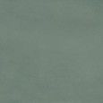 PIGMENTO VERDE SALVIA 60X120 SILKTECH SQ - ERGON EMILGROUP ELNX ERGON EMILGROUP - 1