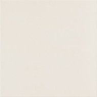 UNICOLORE BIANCO B ANTIBACTERIAL TECHNIC R10 20 x 20 - CASALGRANDE PADANA 403704 CASALGRANDE PADANA - 1