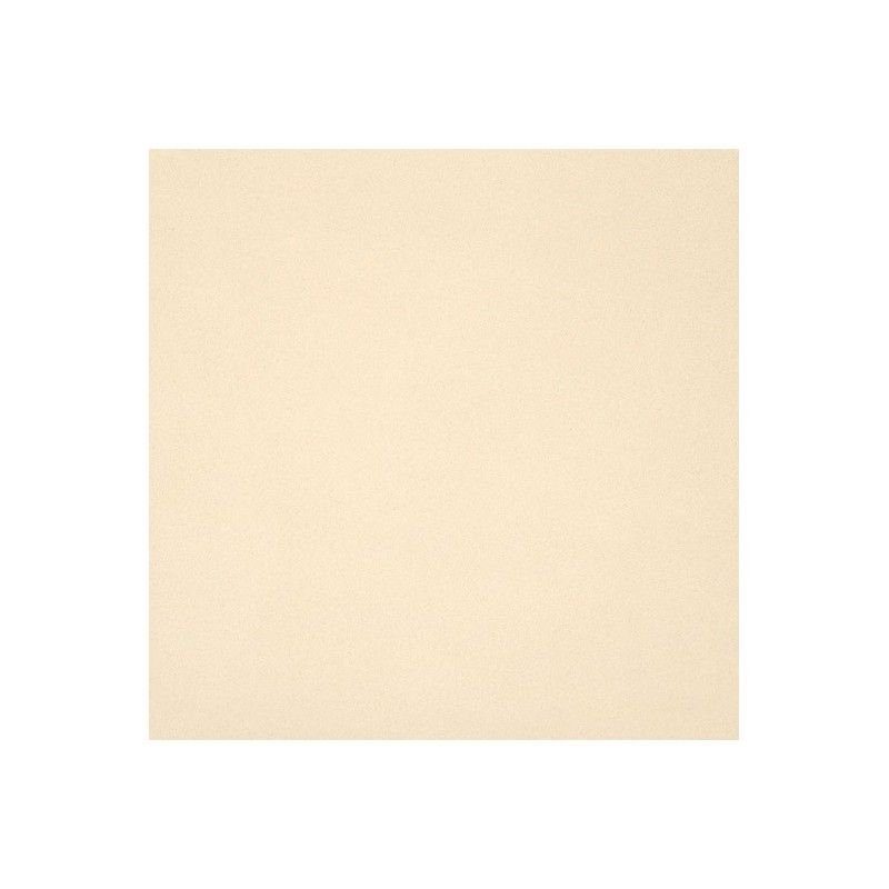 UNICOLORE BIANCO A TECHNIC R10 12MM 20x20 12MM - CASALGRANDE PADANA 191101 CASALGRANDE PADANA - 1