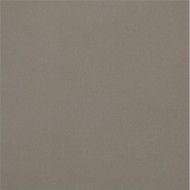 UNICOLORE GRIGIO CENERE TECHNIC R10 14MM 20x20 14MM - CASALGRANDE PADANA 431102 CASALGRANDE PADANA - 1
