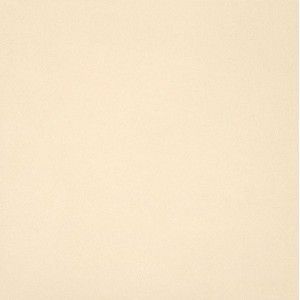 UNICOLORE BIANCO ASSOLUTO LAPPED 60x60 9MM - CASALGRANDE PADANA 747018 CASALGRANDE PADANA - 1