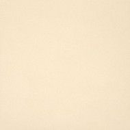 UNICOLORE BIANCO ASSOLUTO GELAEPPT 60x60 9MM - CASALGRANDE PADANA 747018 CASALGRANDE PADANA - 1