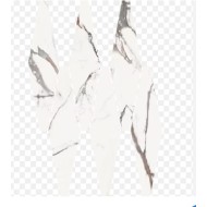 MARMORA LOSANGA LUNENSE VEIN TOUCH 36,1x57,6 - CASALGRANDE PADANA 17780915 CASALGRANDE PADANA - 1