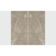 INFINITO 2.0 ROYAL CREAMY NATURAL BOOKMATCH A 163X324 - FONDOVALLE INF2169 CERAMICA FONDOVALLE - 1