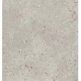 ALCHIMIA ARGENTO 90,6X90,6 SQ - FIORANESE CERAMICHE 0AL903R FIORANESE CERAMICHE - 1