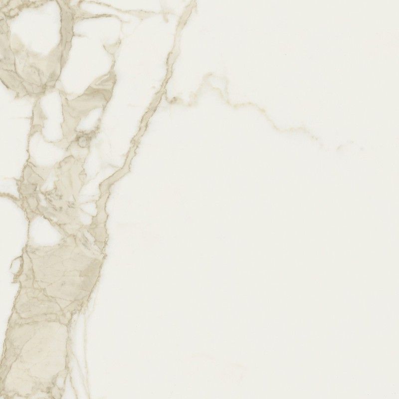 CAVE 120X278 FORTE LUCIDO BROWN RT - SAIME CERAMICHE T600130 SAIME CERAMICHE - 1