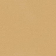 TRUE COLOR 50X120 CARAMEL MATT SQ   - FAP CERAMICHE fTDS FAP CERAMICHE - 1
