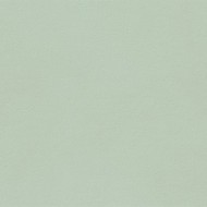 TRUE COLOR 50X120 MATCHA MATT RETTIFICATO   - FAP CERAMICHE fTDV FAP CERAMICHE - 1