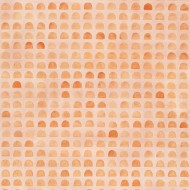 INDOMITA PP 90 MIX ID POSITIVE EYES T 120X278 6MM  - MIRAGE CBO5 MIRAGE - 1