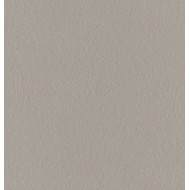 Made 2.0 Dust Poliert 60x120 12mm - GIGACER M2DUSTLEV60120/X GIGACER - 1