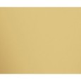 MIRROR GOLD LUCIDATO 29,75X59,55 - APAVISA 8431940447419 APAVISA - 1