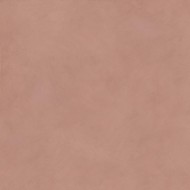 PALETTE COTTO NATURALE 60X120 RT - FLAVIKER PF60016434 FLAVIKER - 1