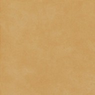 THE COLOR AMBER 60,4X60,4 SQ - FIORANESE CERAMICHE 0TH609R FIORANESE CERAMICHE - 1