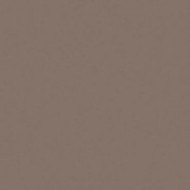 UNICOLORE GRIGIO CENERE TECHNIC R10 30x30 11,2MM - CASALGRANDE PADANA 721102 CASALGRANDE PADANA - 1