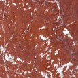 MARMOKER ROSSO FRANCIA HONED SQ 120x240 6MM - CASALGRANDE PADANA 12560003 CASALGRANDE PADANA - 1