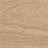 SELECT MIELE SQ. 120X20 - ITALGRANITI SC02EA ITALGRANITI GROUP - 1