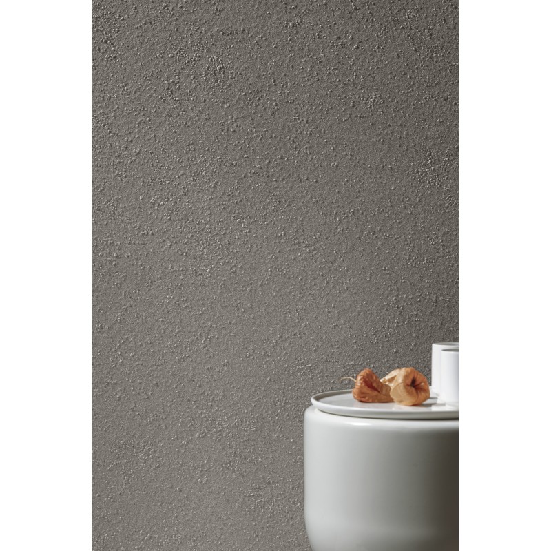 TERRAPURA PURA ARGENTO NATURAL PLUS RT 120X120 - FMG P120660 FMG IRIS - 1