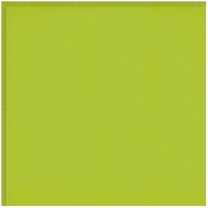 FLEXI 2 GREEN BRI 30X30 cm Ceramica Sant'Agostino CSAFGR2B00