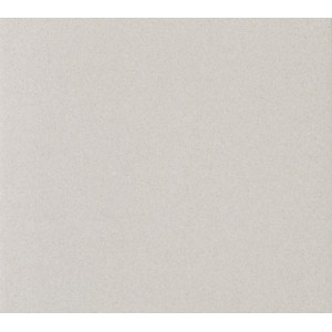 GRANITO 1 - EVO TUCSON SECURA 30x30cm Casalgrande Padana  3704583 CASALGRANDE PADANA - 1