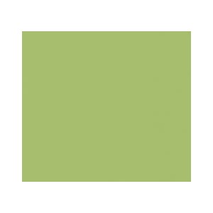 ARCHITECTURE  ACID GREEN 30x60cm Casalgrande Padana  3790112 CASALGRANDE PADANA - 1