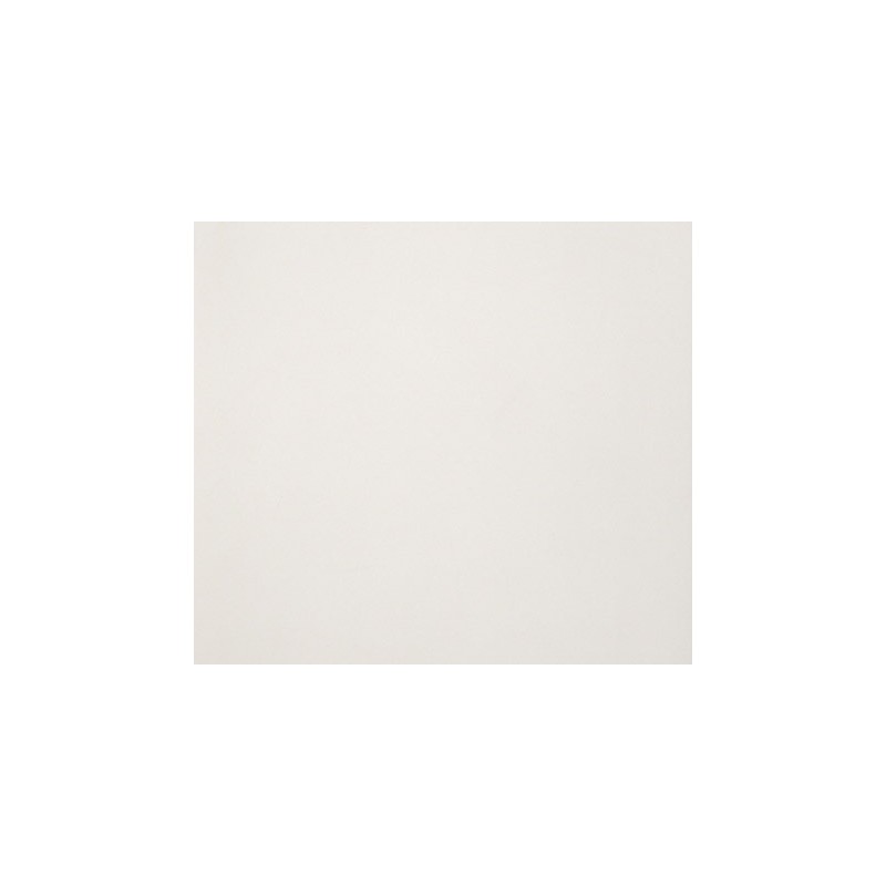 ARCHITECTURE  LIGHT IVORY ANTIBACTERIAL 30x60cm Casalgrande Padana  4795753 CASALGRANDE PADANA - 1