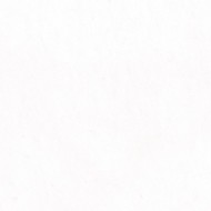 MARMOKER BIANCO VIETNAM LUCIDO 88 x 88 Casalgrande Padana 10680201 CASALGRANDE PADANA - 1