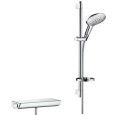 RAINDANCE  SELECT Vario-Aussenduschsystem mit Ecostat Comfort Thermostat und 65 cm Duschstange  Hansgrohe 27037000 HANSGROHE - 1