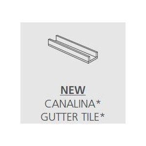 WOODMANIA20 HONEY 15X60  CANALINA - Ragno RAW9 RAGNO  - 1