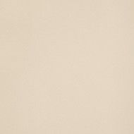 ICON CREAM 120 120x120 CHAMPAGNE 120x120 Naturel Lisse Matt    Un Calibre - LEONARDO LEONARDO CERAMICA - 1