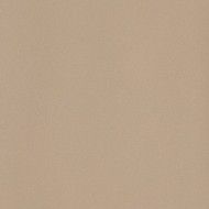ICON BEIGE 12L 60x120 BEIGE 60x120 Poli Lisse    Un Calibre - LEONARDO LEONARDO CERAMICA - 1